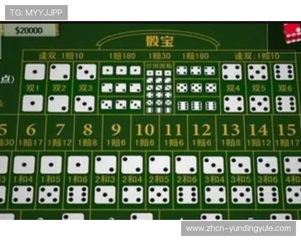 全面解析澳门骰宝的规则与玩法,帮助玩家快速入门与提升